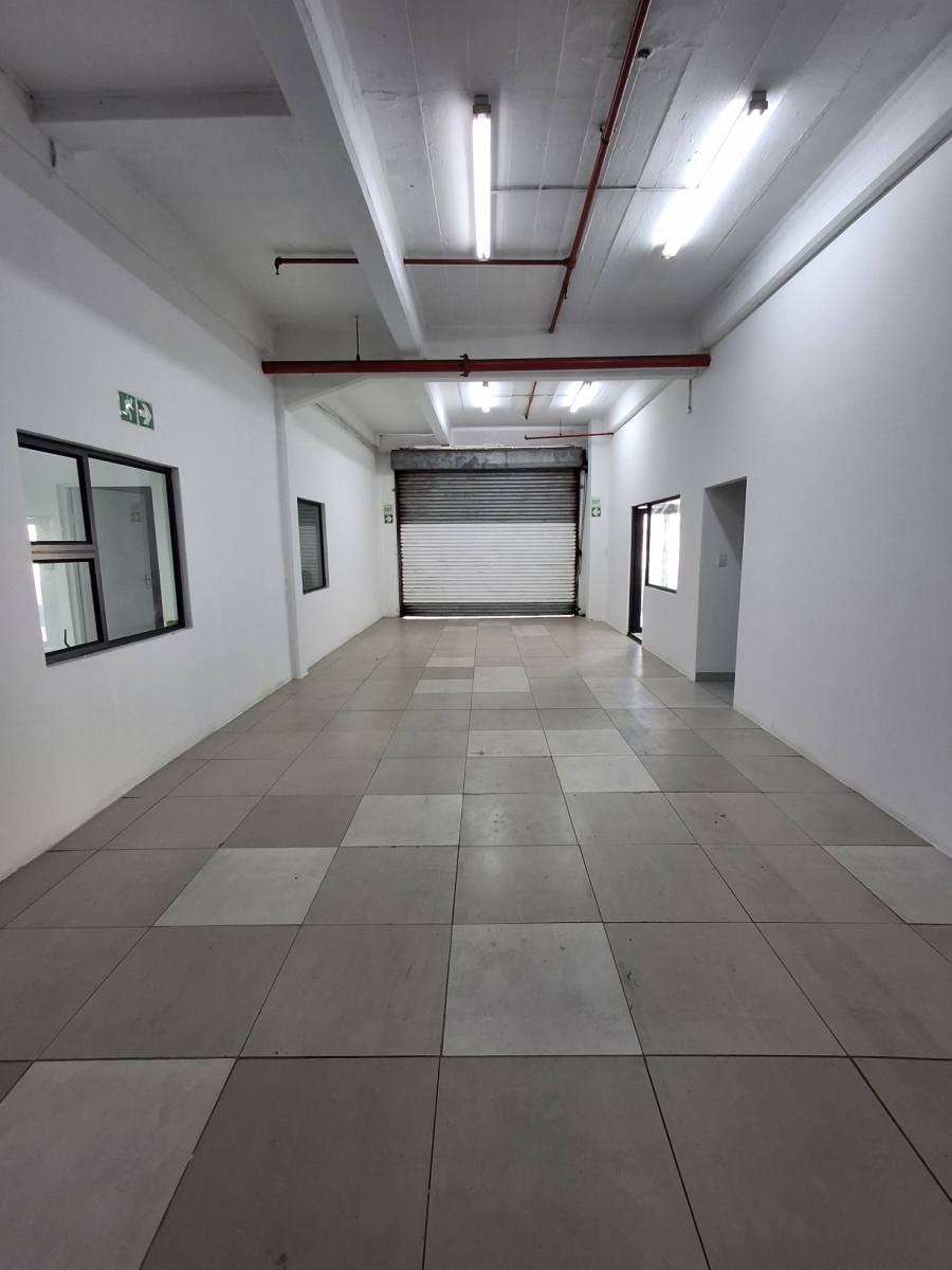 To Let Commercial Property for Rent in Arcadia Eastern Cape